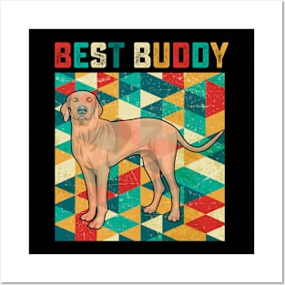 Best Buddy Vizsla Posters and Art